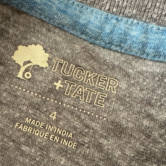 Tucker + Tate toddler boys hot noodle gray short sleeve tshirt tee size 4 - Picture 3 of 5
